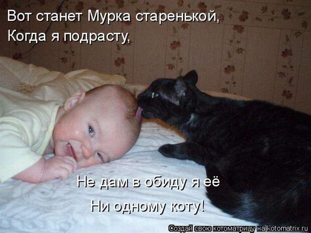 Котоматрица: Вот станет Мурка старенькой,  Когда я подрасту,  Не дам в обиду я её Ни одному коту!