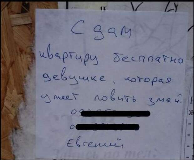 1443245110-76ce16500eb54248f5b8120717d4ea76