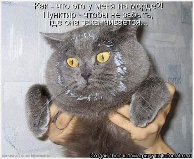 Мысли вслух Мысли вслух