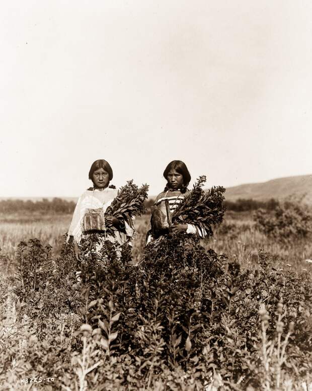 indeytsy foto Edvard Kertis 8
