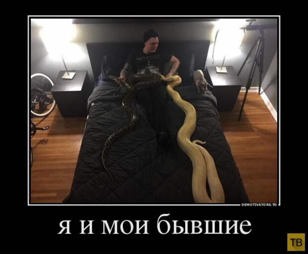 Подборка демотиваторов 23. 01. 2015 (30 фото)