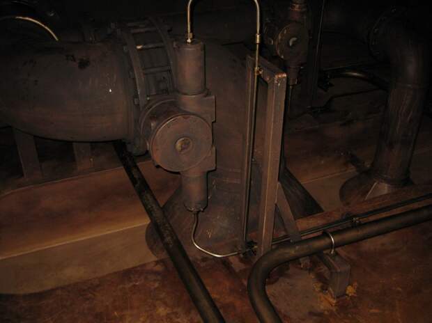 IMG_8266 IMG_8266