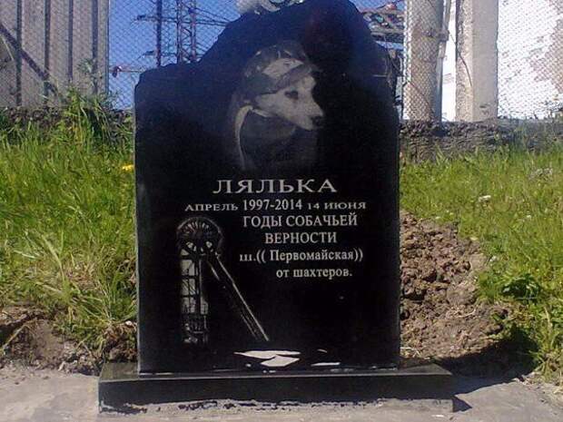 История собаки ,которая помогала шахтерам. Заслуживает уважения Первомайская шахтв, шахтеры