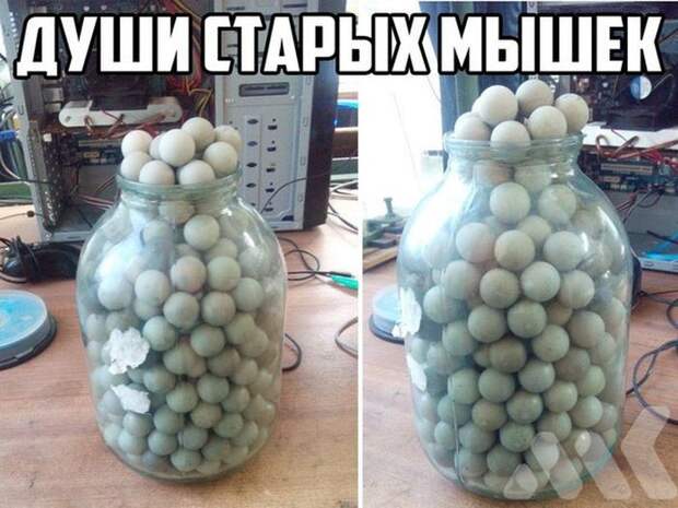 Прикольные картинки. Вечерний выпуск (53 фото)