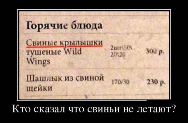 Подборка  демотиваторов демотиваторы, юмор