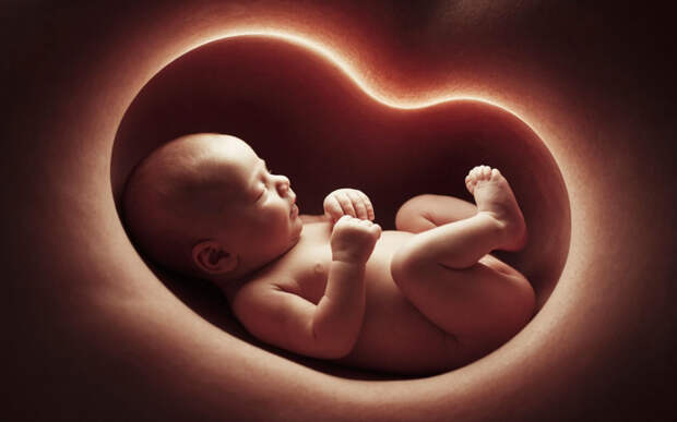 Залим Кудаев прокомментировал исследование о стрессе беременных