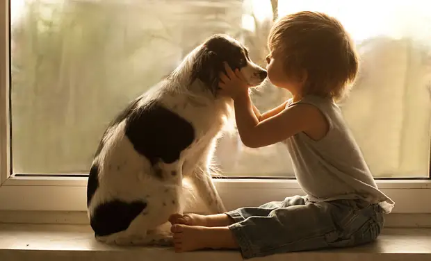 Когда вы найдете настоящую дружбу, вы найдете настоящую любовь  дети, животные, фотография