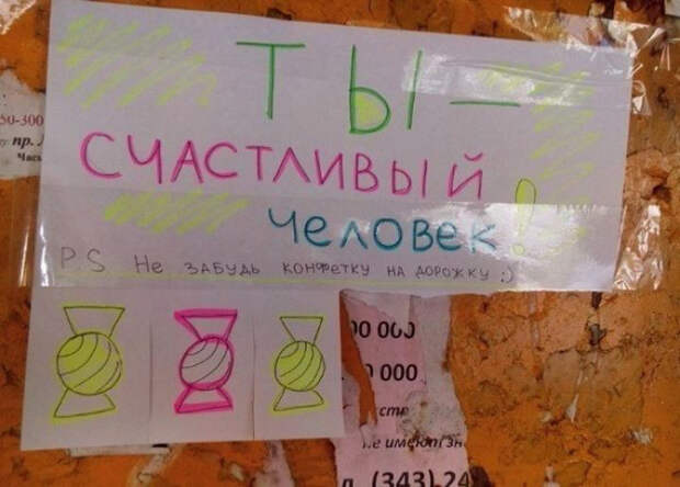 15 добрых объявлений, вселяющих надежду добро, объявления, позитив