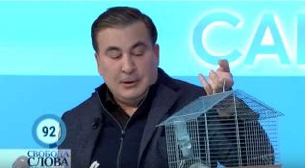 Саакашвили принес на ТВ крысу по имени Коррупция