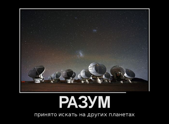 Демотиваторы (30 фото)