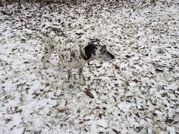 iphone photography award фото сделанные на смартфон (15)