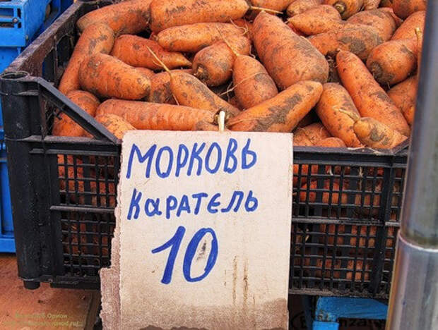 маразматические ценники из наших магазинов (25)