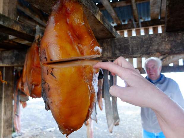 Мясо акулы (Hakarl)