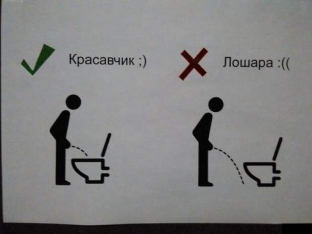 Доза позитива в прикольных картинках (49 шт)