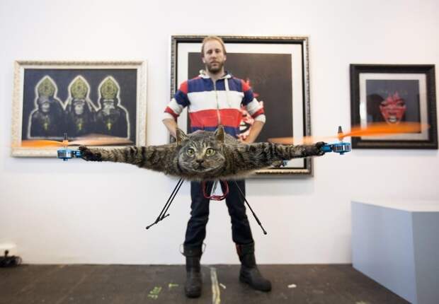 enhanceh Летающий кот с моторчиками – ужас из Амстердама