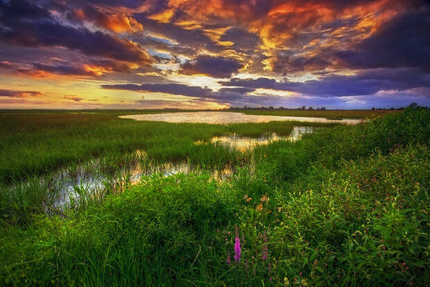 breathing_place_by_oer_wout-d6dj62t (700x469, 564Kb)