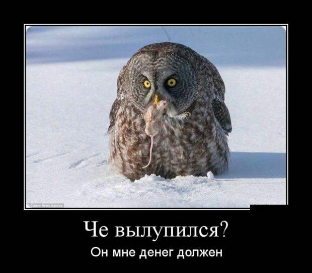 Демотиваторы (30 фото)