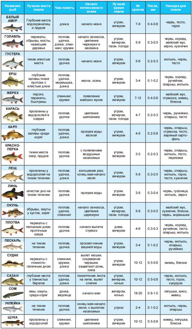 Таблица, необходимая рыболову (на май - июнь)