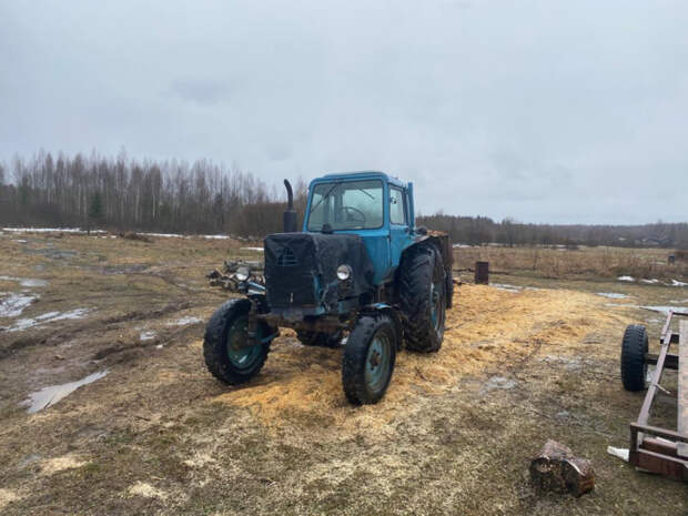 Житель Тверской области незаконно спилил 44 дерева