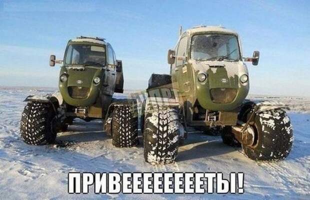 автоприколы