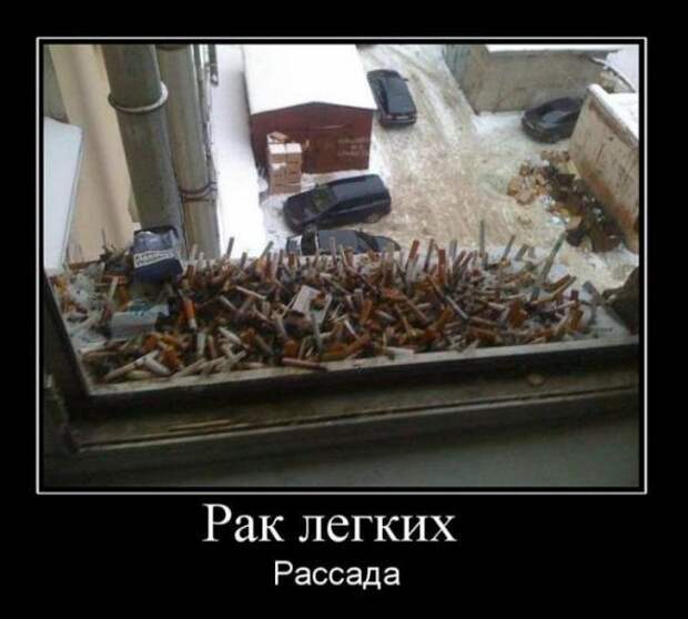 Демотиваторы 20.02.11