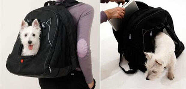 DOG-BACKPACK