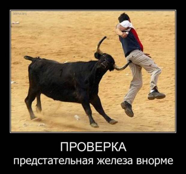 Новый день - у нас новые демотиваторы.