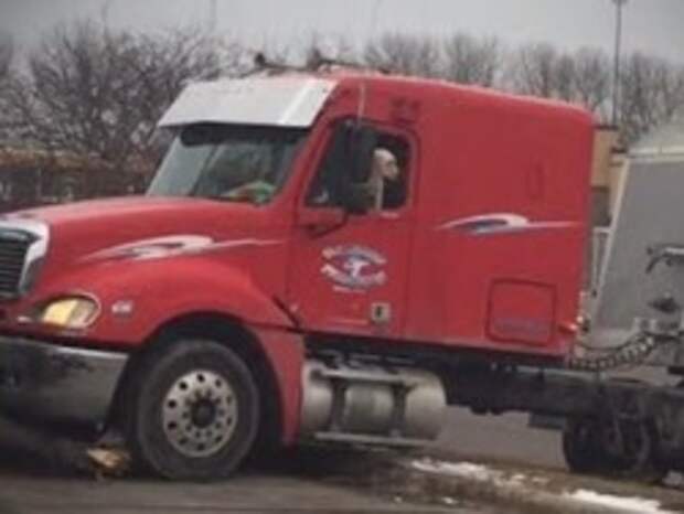 Пес за рулем фуры устроил аварию в Миннесоте