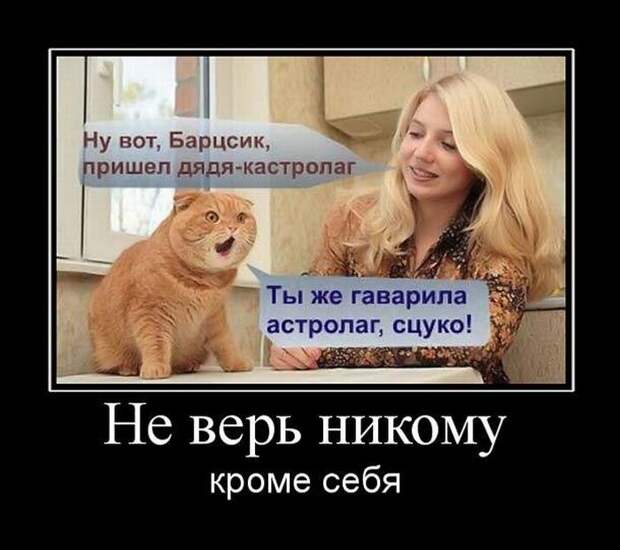 Демотиваторы (30 фото)