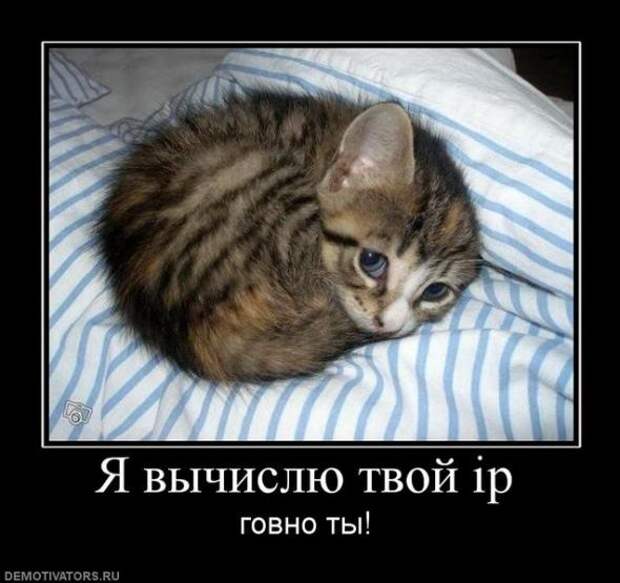 Демотиваторы 18.02.11