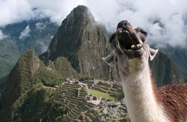 Мачу-Пикчу: фото и история главной достопримечательности Перу