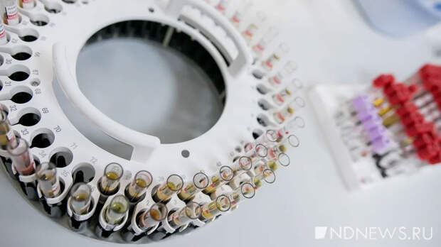 В России введут ограничения на передачу генетических данных за рубеж