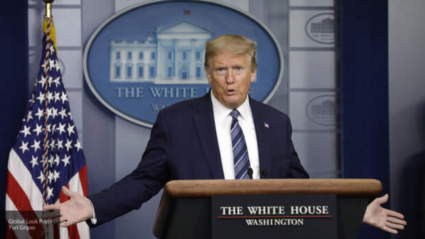 Сын Трампа обвинил Байдена в плагиате идей его отца