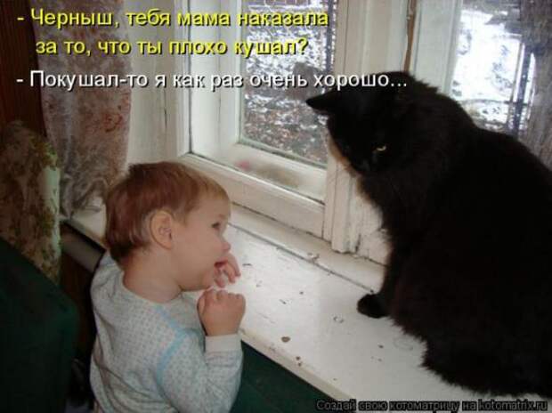 Котоматрицы (картинки с надписями)