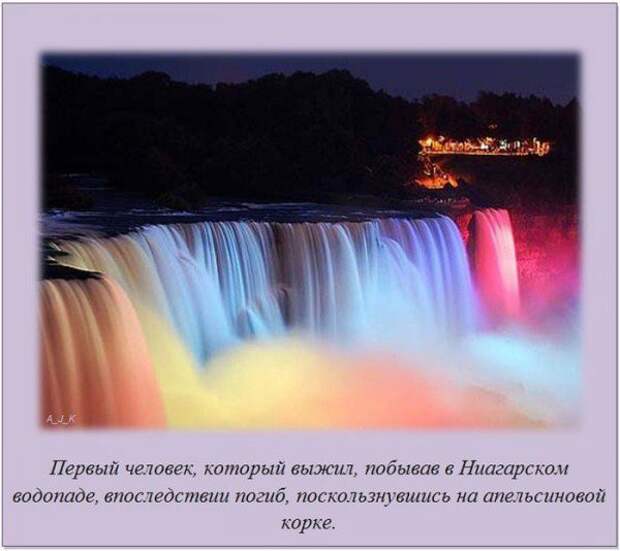 Интересные факты (14 картинок)