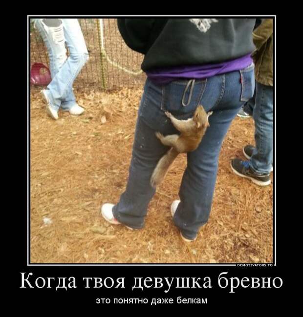 Демотиваторы 