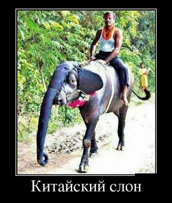 Демотиваторы (30 фото)