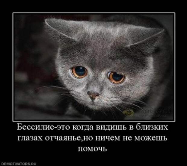 Демотиваторы смысловые.