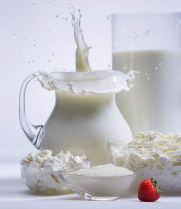 Молочный гриб и его лечебные свойства