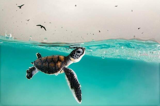 Фото: Hannah Le Leu Фото: Hannah Le Leu