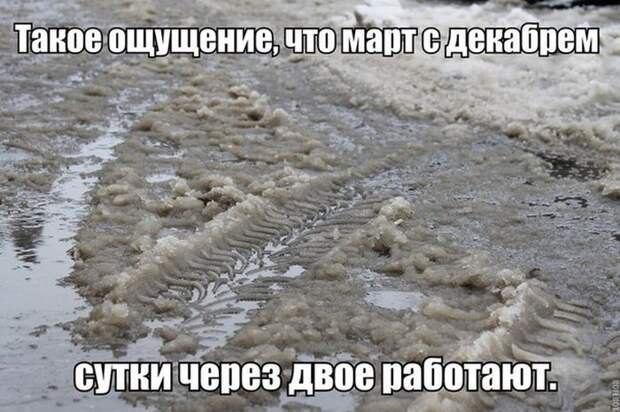 Прикольные картинки. Вечерний выпуск (54 фото)