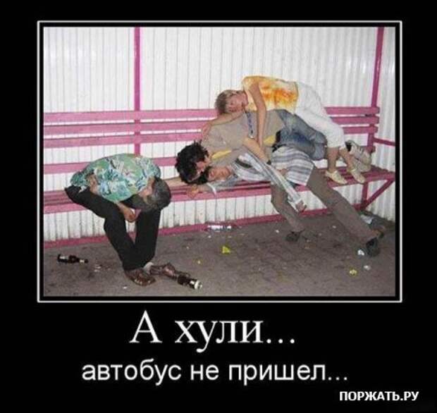 Демотиваторы ржачные прикольные, новый юмор.