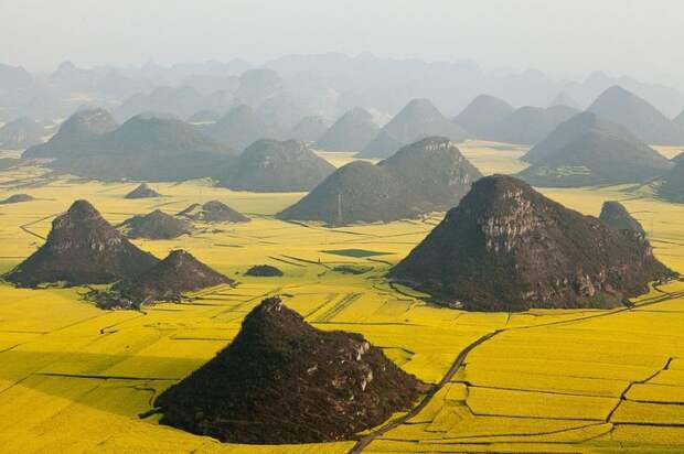 Рапсовые поля, Китай.