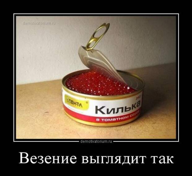 Прикольные демотиваторы для всех (15 шт)