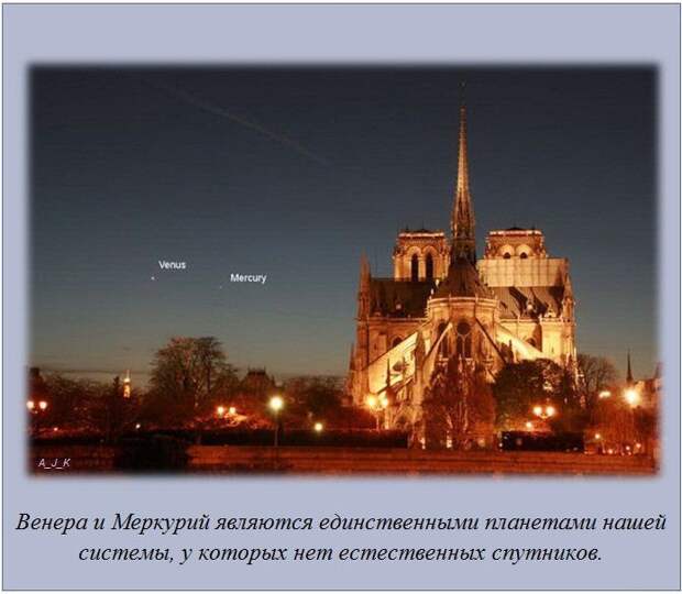 Интересные факты (14 картинок)