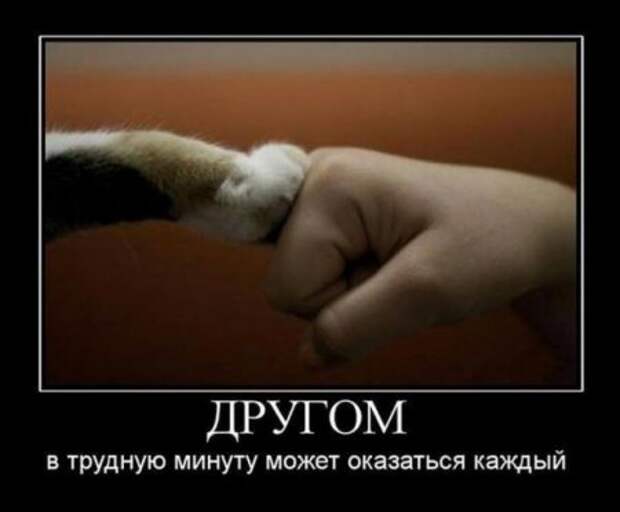 Демотиваторы со смыслом картинки.