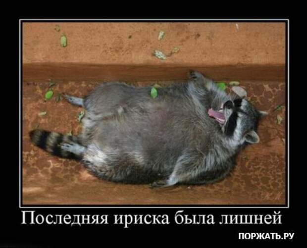 Понедельничные демотиваторы.