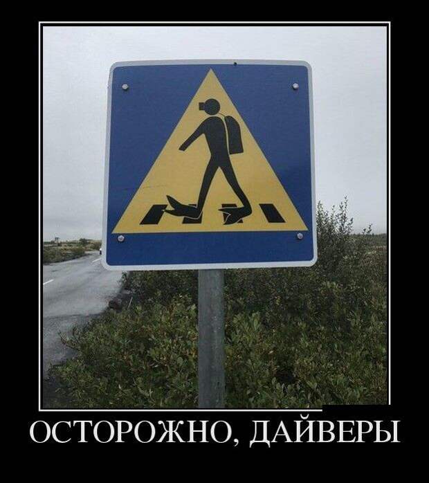 Демотиваторы (30 фото)