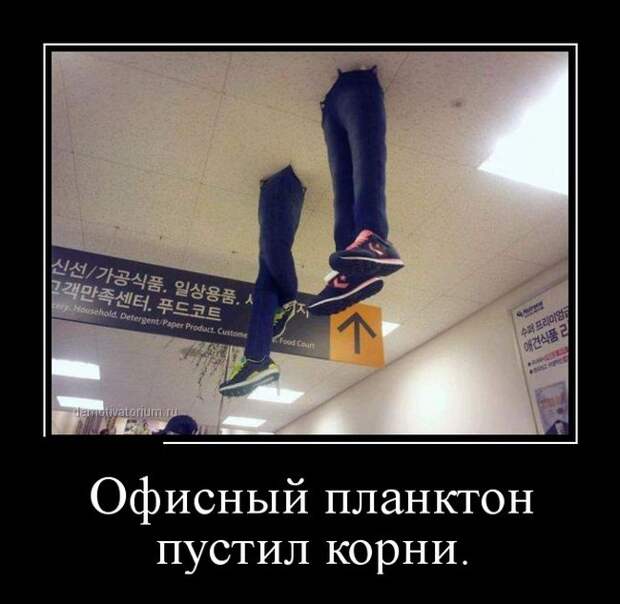 Демотиваторы Демотиваторы демотиваторы, юмор