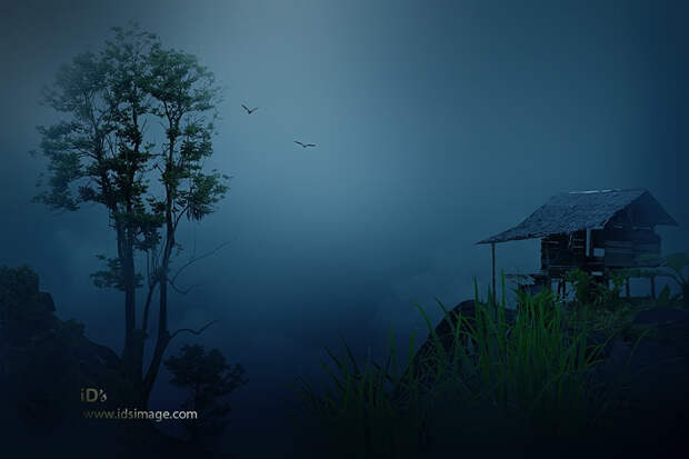 NewPix.ru - Сказочная природа Индонезии. Фотограф Idrus Arsyad